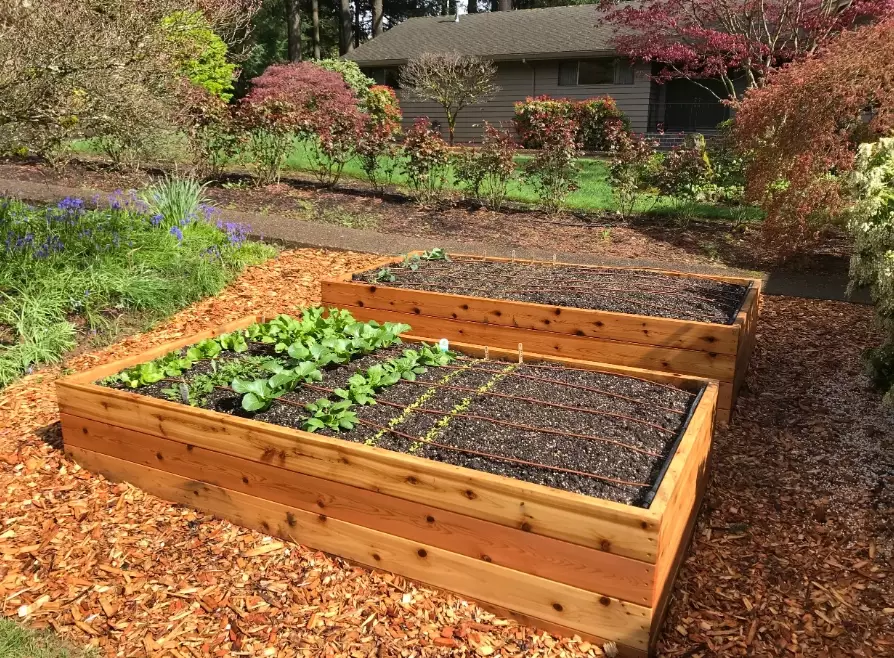 raised bed soil mix