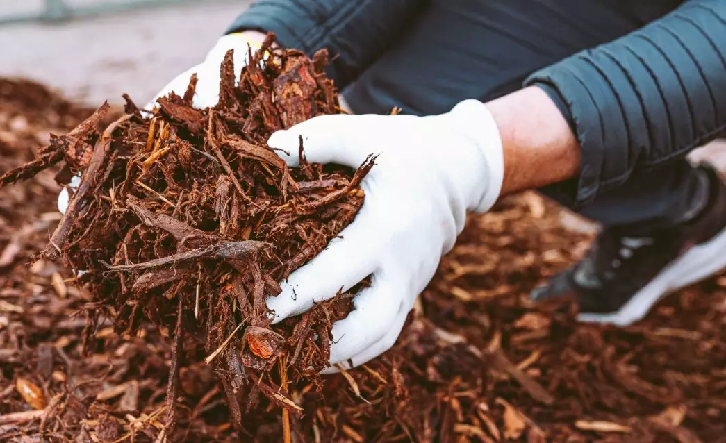 organic mulch organic mulch