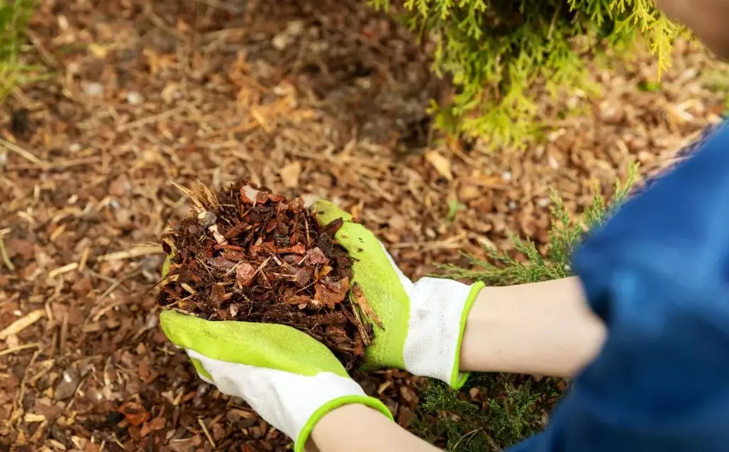 mulch benefits