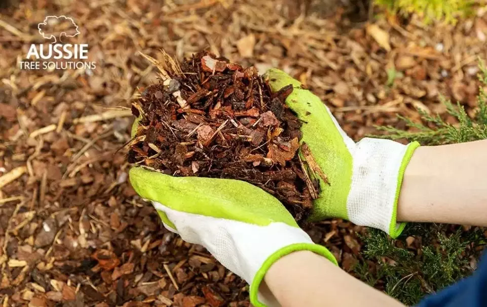 garden mulch garden mulch