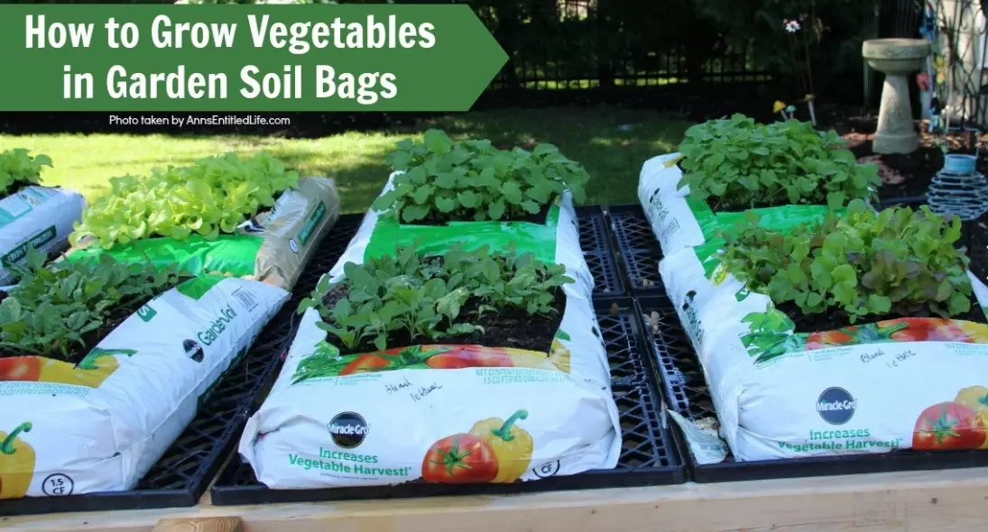 grow bags for vegetables grow bags for vegetables