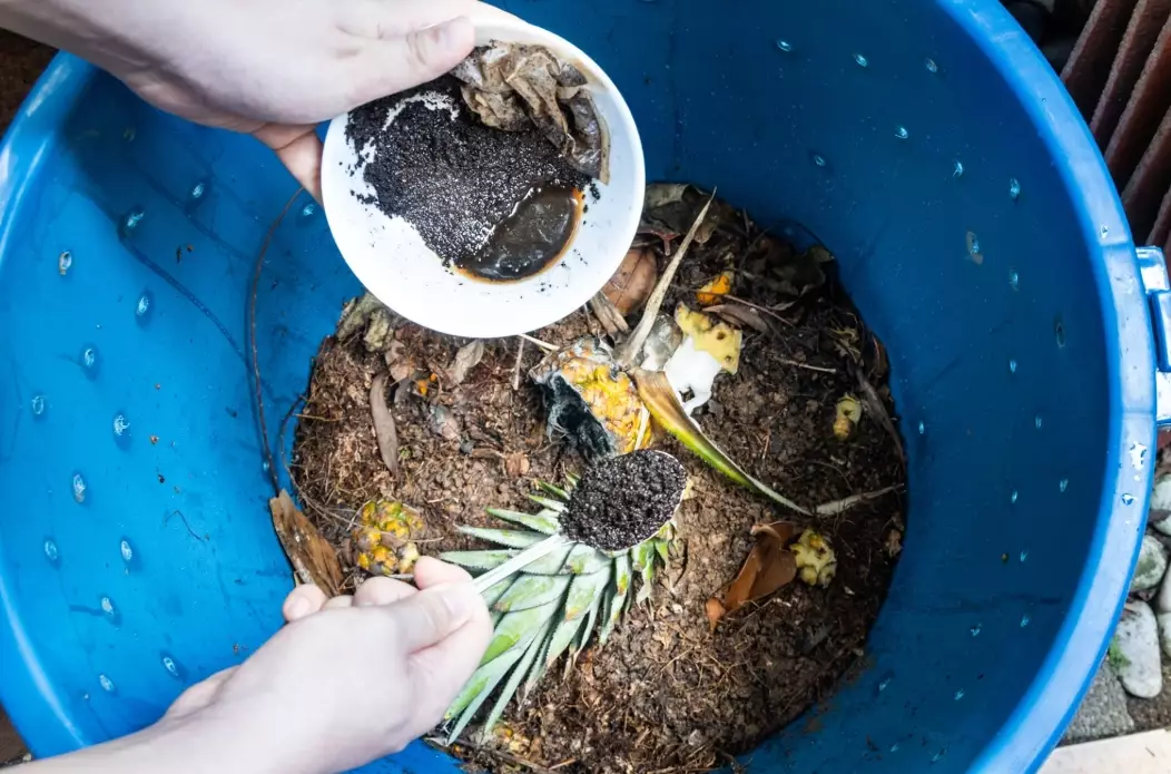 composting coffee grounds