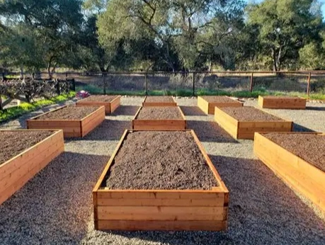 raised bed soil mix