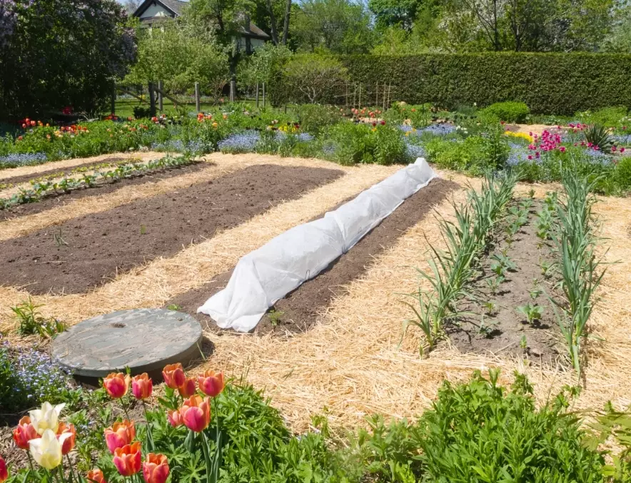 straw gardening techniques straw gardening techniques