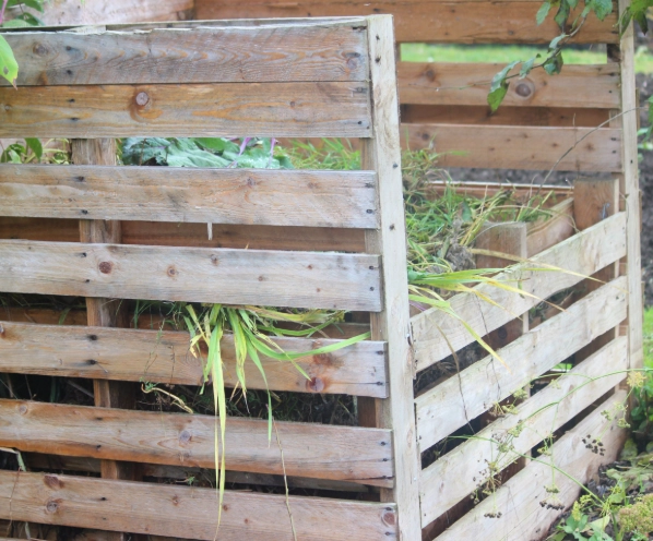 free compost bin free compost bin