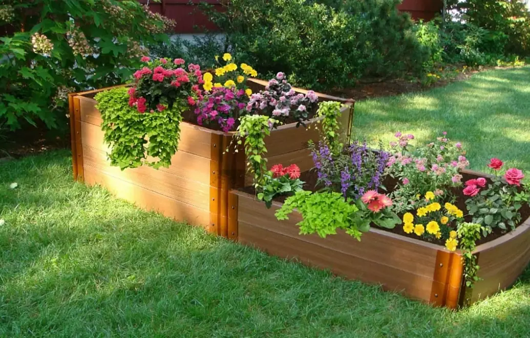 raised bed vegetable garden layout