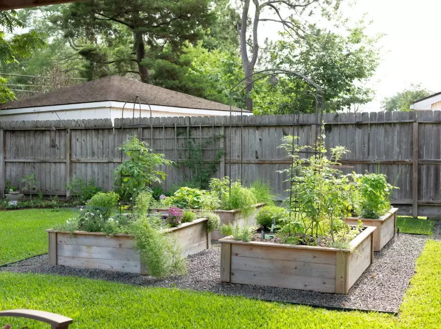 raised bed gardening