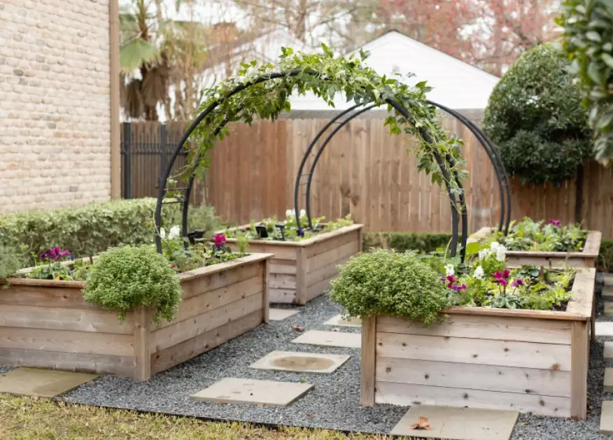 raised bed vegetable garden layout