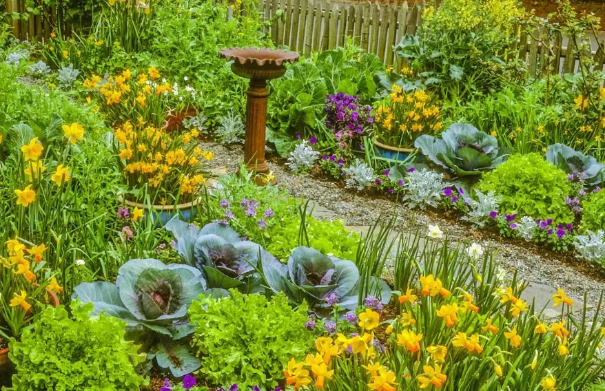 small space vegetable gardening