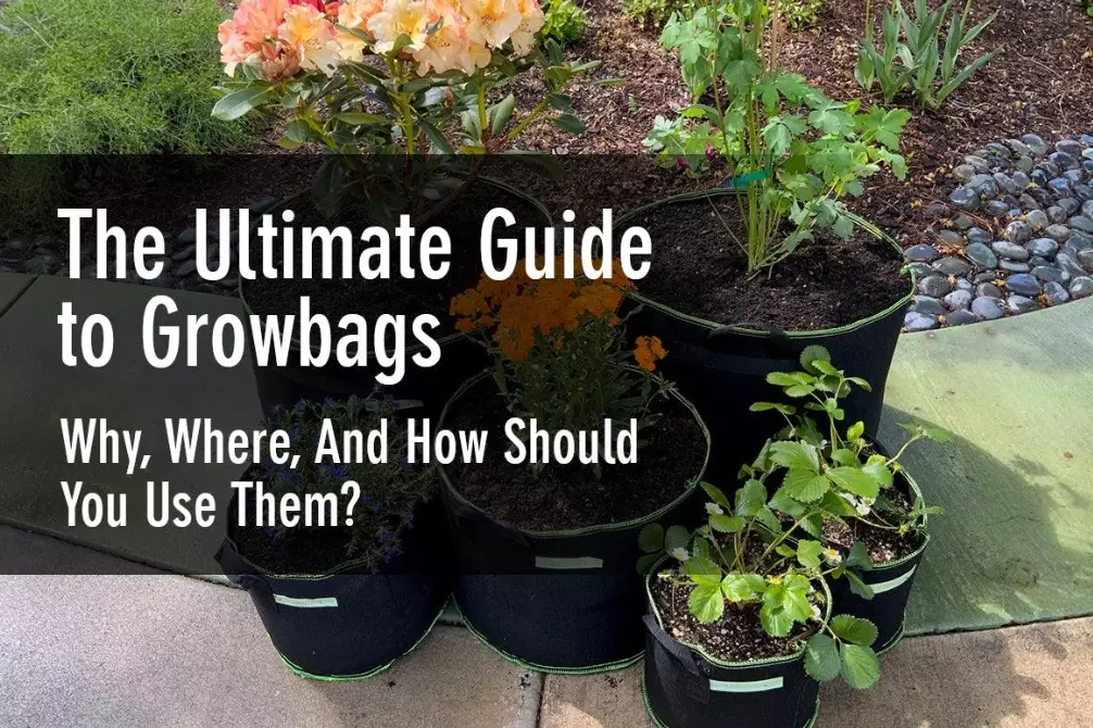 how to use grow bags