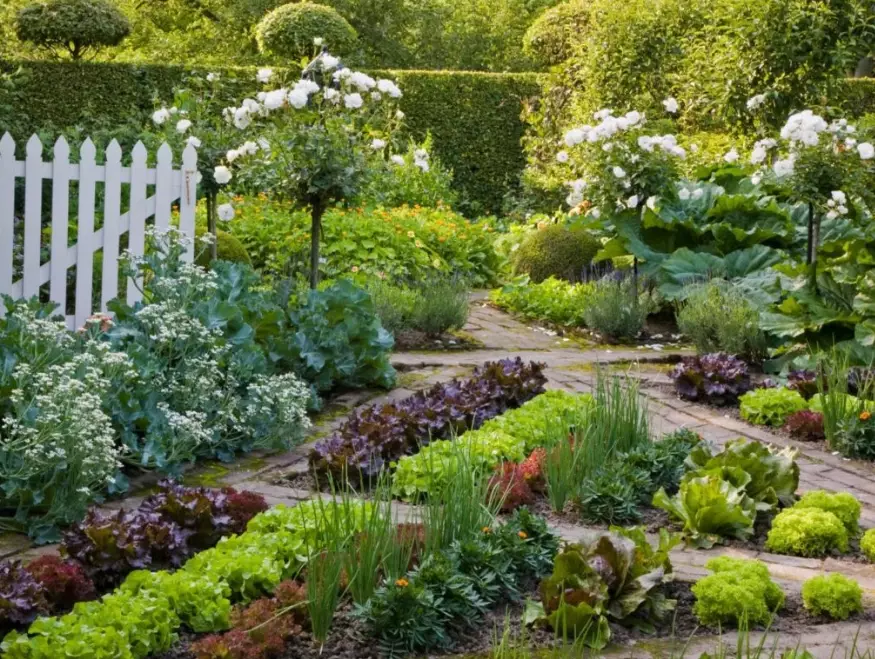 how to start an edible garden