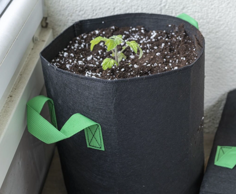 using grow bags