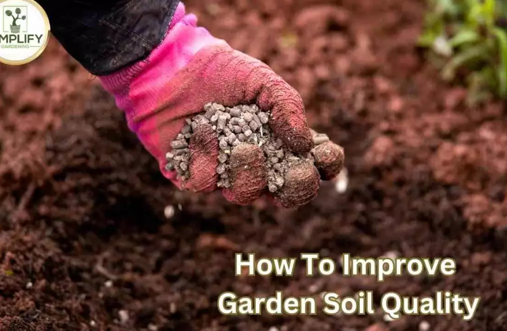 amend garden soil amend garden soil