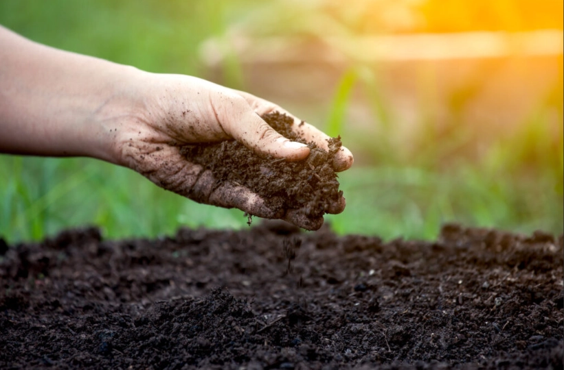 how to enrich soil