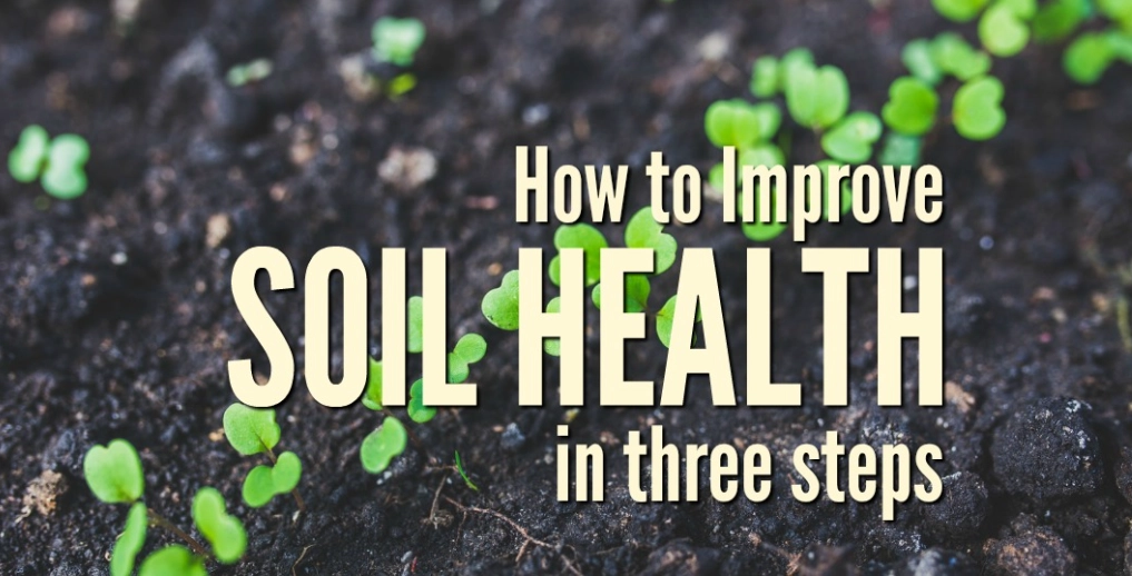 how to improve soil