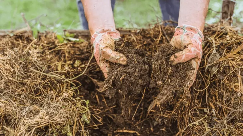 how to improve soil quality