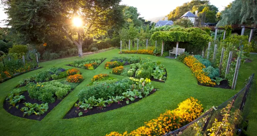 small space vegetable gardening