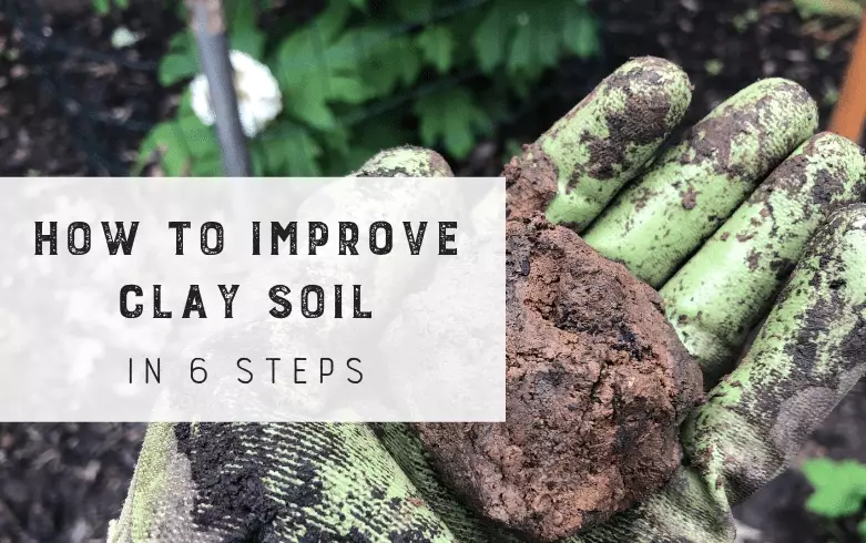 how to improve soil quality
