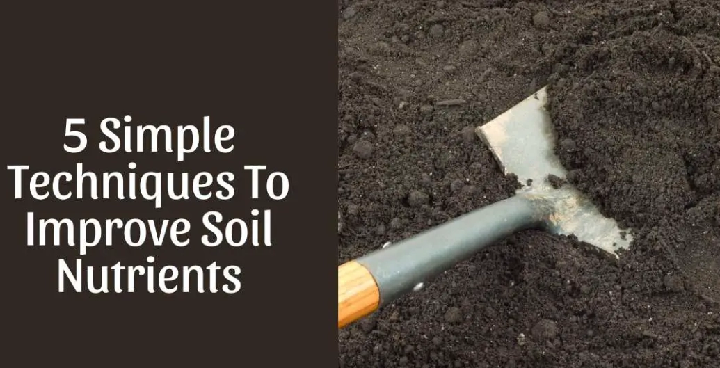 how to improve soil quality how to improve soil quality