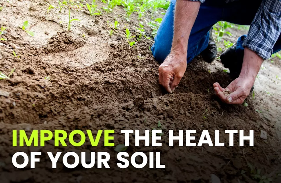 soil testing soil testing