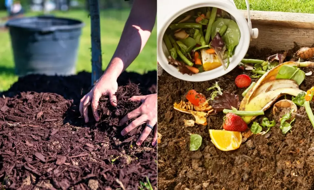 amend garden soil amend garden soil