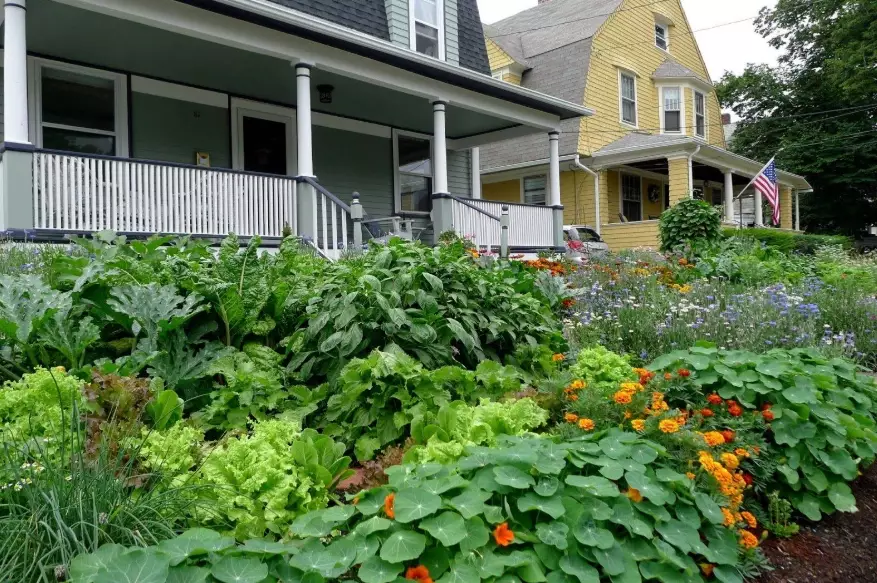 how to start an edible garden