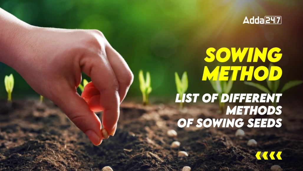 best time to sow seeds best time to sow seeds