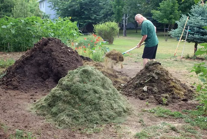 compost for grass