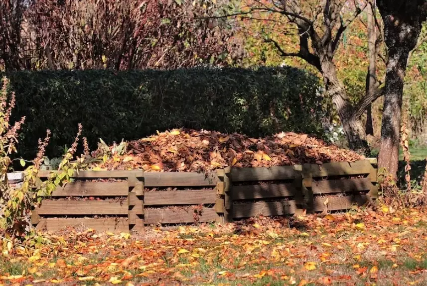 lawn compost application