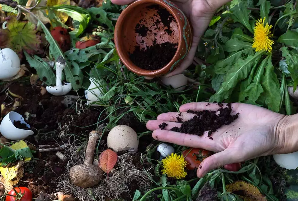 coffee grounds compost