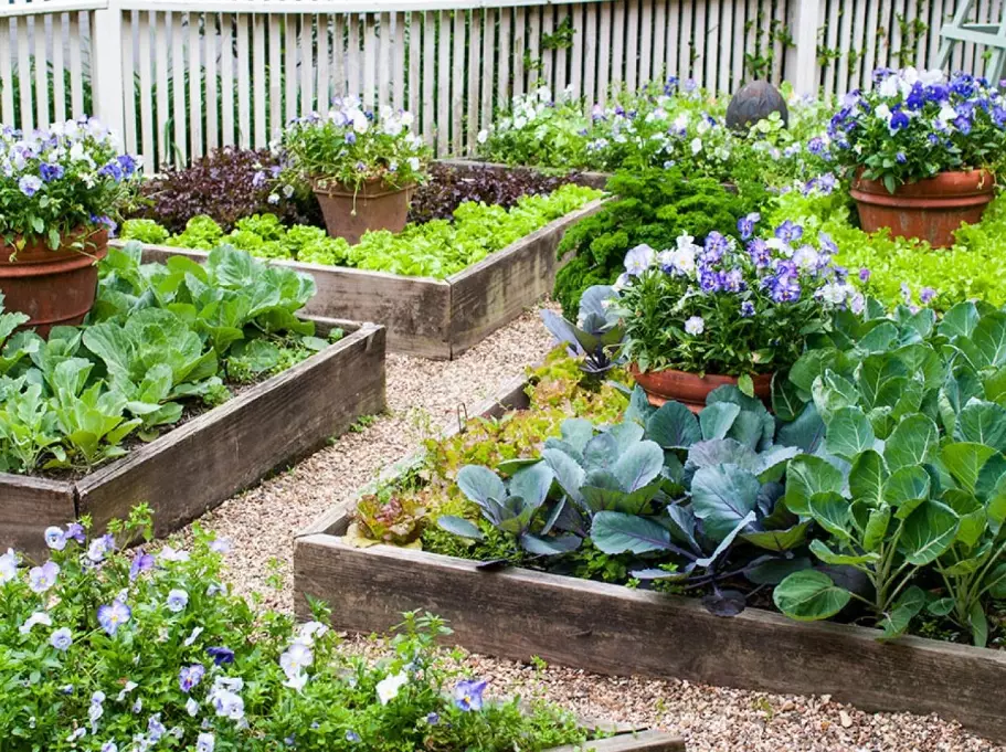 raised garden bed ideas raised garden bed ideas