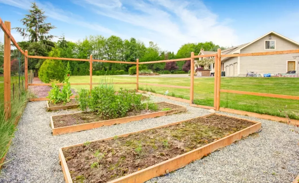 deer proof gardening
