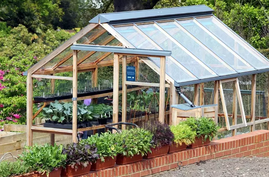 greenhouse gardening