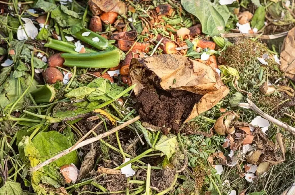 coffee grounds compost