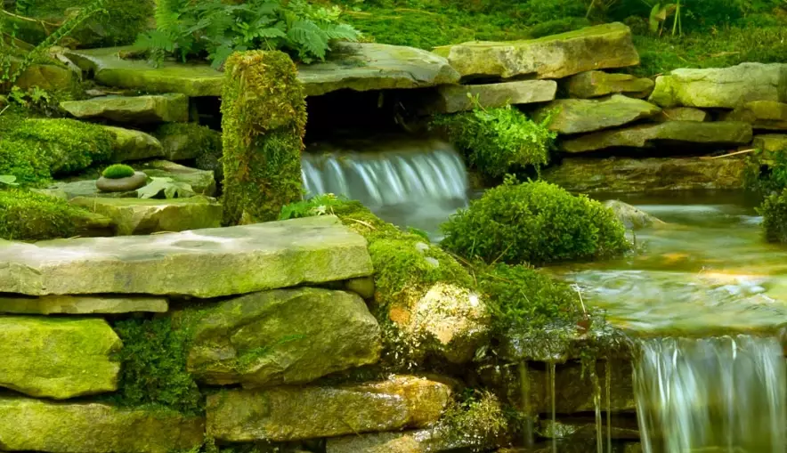 moss gardening ideas