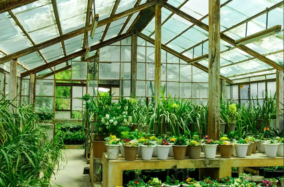 greenhouse gardening for beginners greenhouse gardening for beginners