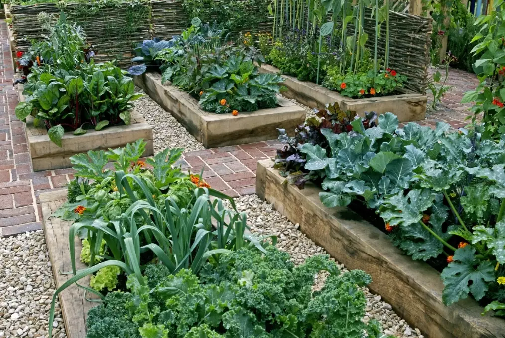 raised garden bed ideas raised garden bed ideas