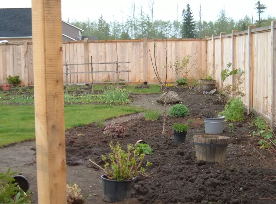 deer proof plants deer proof plants