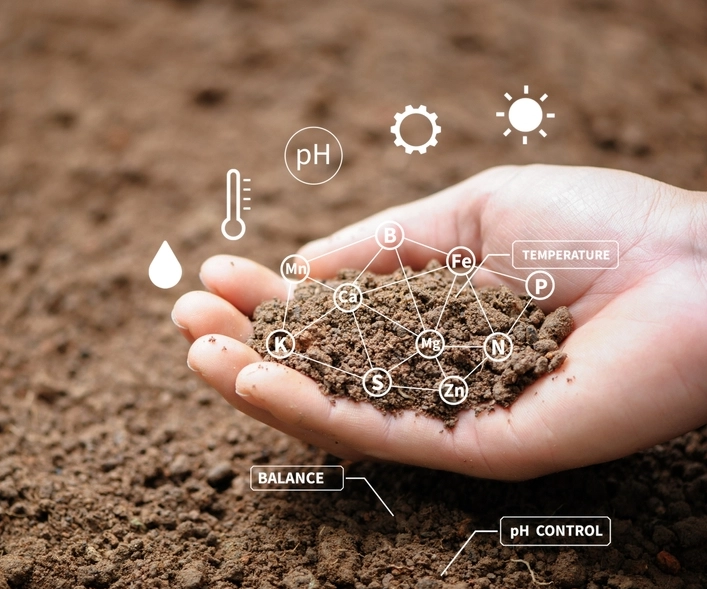 compost for soil