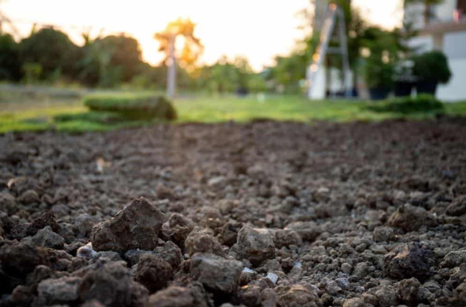 soil amendment