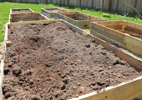 raised garden bed dirt mix