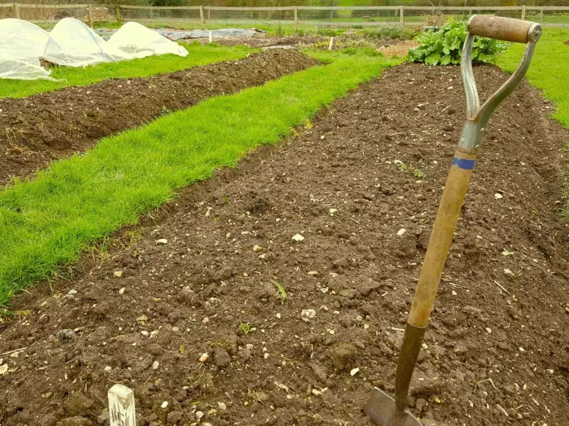soil improvement