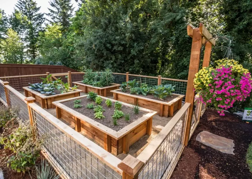 raised raised beds