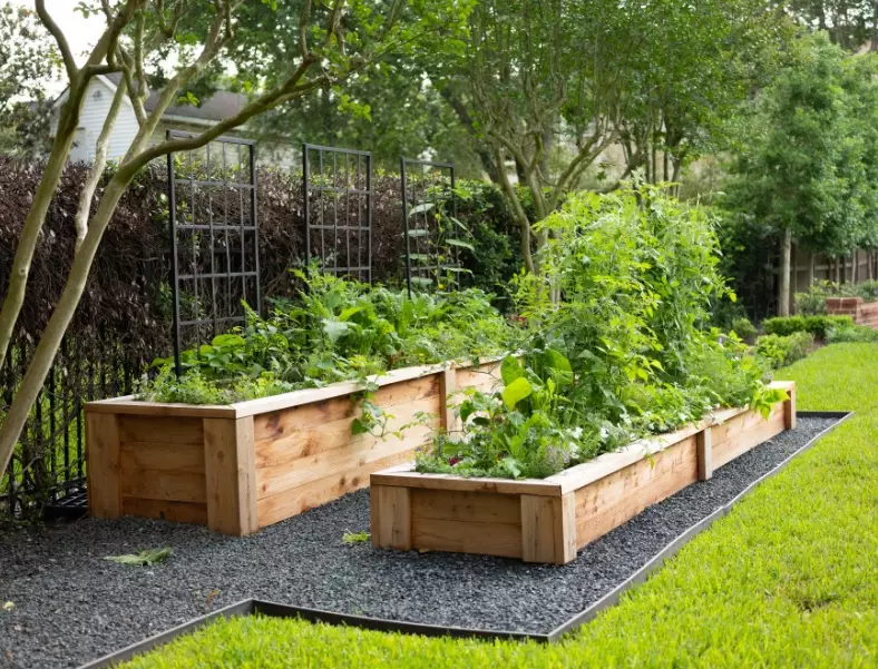 best soil for raised beds best soil for raised beds