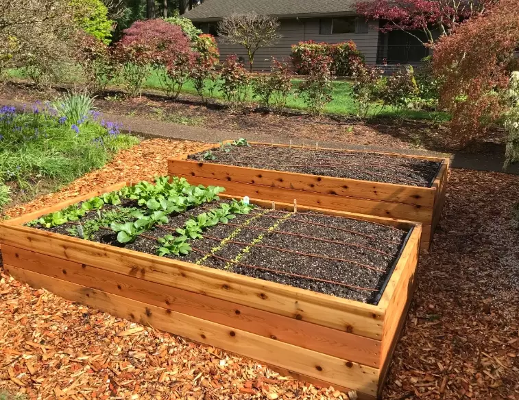 raised bed gardening for beginners raised bed gardening for beginners